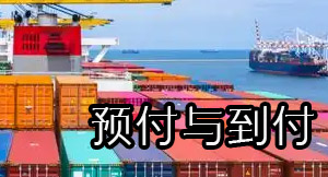 预付与到付:船司、货代公司和收发货人的风险与区别