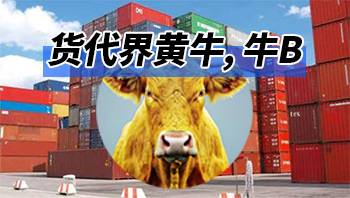 货代行业也有“黄牛”?“货代黄牛”可以做点什么呢?