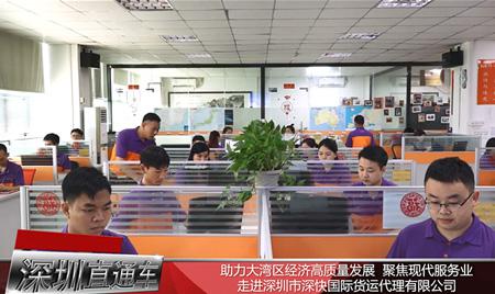 深圳市深快国际货运代理有限公司