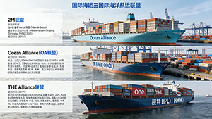 国际海运三大航运联盟核心解析