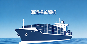 想看懂海运提单？一篇讲透船公司“主单”和货代“分单”的关键区别