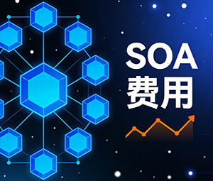 SOA 费用解释(SOA 常见包含的费用项目)