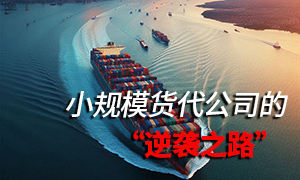 货代公司发展建议:小规模货代公司的逆袭之路在哪里?