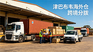 非洲海运专线怎么选？4 个维度对比主流货代