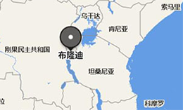 非洲物流专线:中国到布隆迪运输方案(运输布隆迪怎么走?)