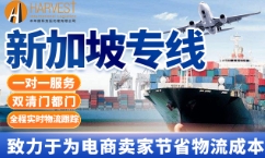 新加坡海运双清门到门