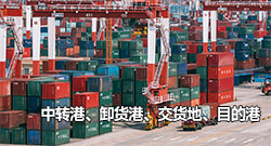 区分海运中的中转港、卸货港、交货地、目的港有什么不同？