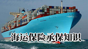 深度解读：海运货物保险承保范围，为您的海上货物保驾护航！