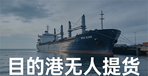 海运中的“目的港无人提货”产生的费用由谁承担？（会有什么后果）