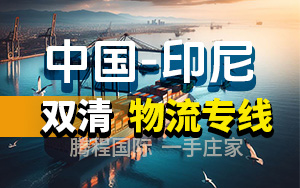 印尼海运双清门到门服务