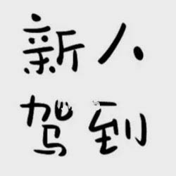 货代新人